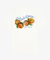 Malelions T-shirt Fruit Company