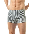 Mey Boxer Palm Stripes