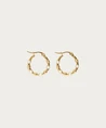 My Jewellery Oorbellen Dots