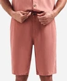 No-Excess Chino Short Garm