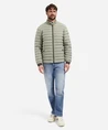 No Excess Jack Padded