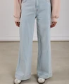 NUKUS Jeans Abby Strass