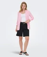 ONLY Blazer Lita