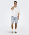 ONLY & SONS Jeans Short ONSEDGE LB 2041 TAI DNM SH