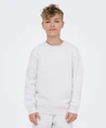 ONLY & SONS Junior Sweater Ceres