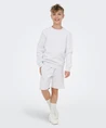 ONLY & SONS Junior Sweater Ceres