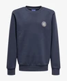 ONLY & SONS Junior Sweater Ceres