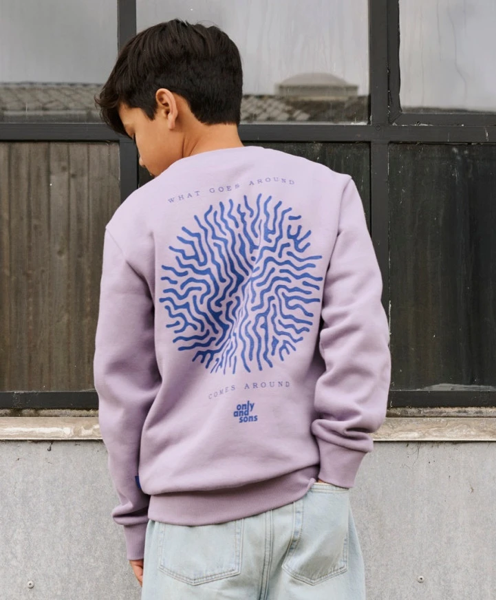 ONLY & SONS Junior Sweater Ceres