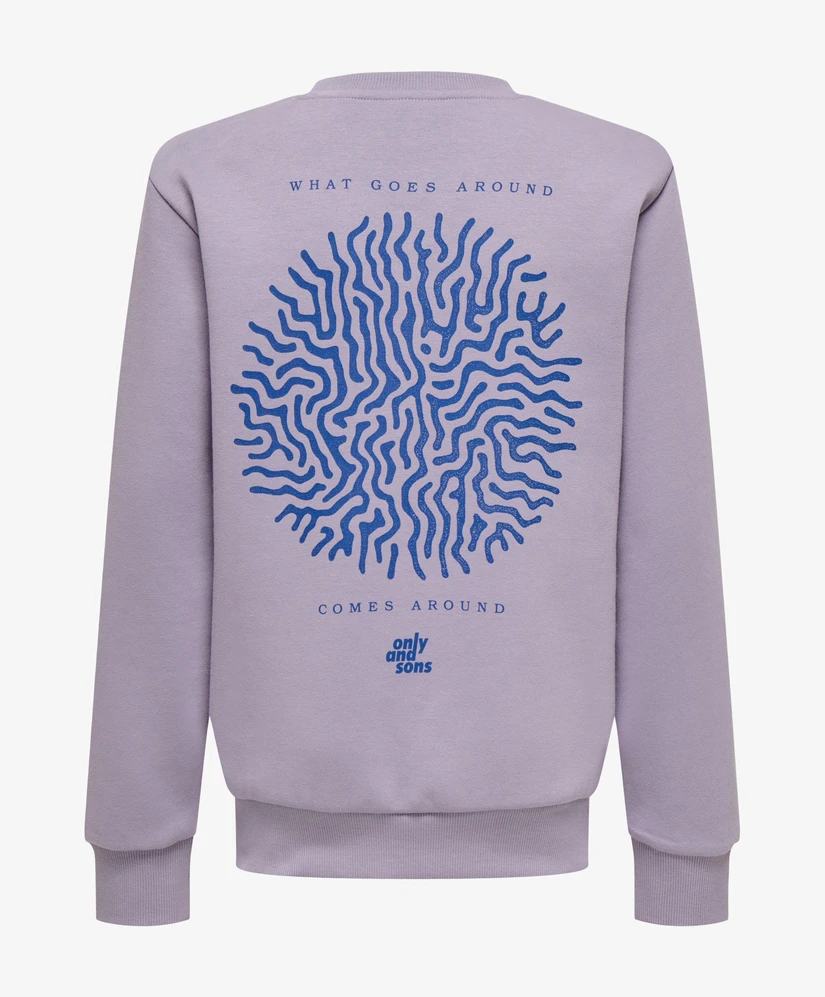 ONLY & SONS Junior Sweater Ceres