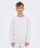 ONLY & SONS Junior Sweater Ceres