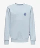 ONLY & SONS Junior Sweater Ceres