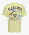 ONLY & SONS Junior T-shirt Malik