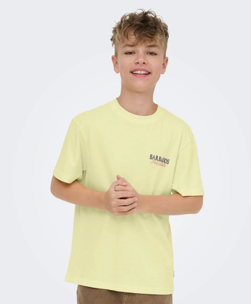 ONLY & SONS Junior T-shirt Malik