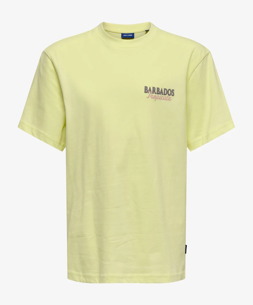 ONLY & SONS Junior T-shirt Malik