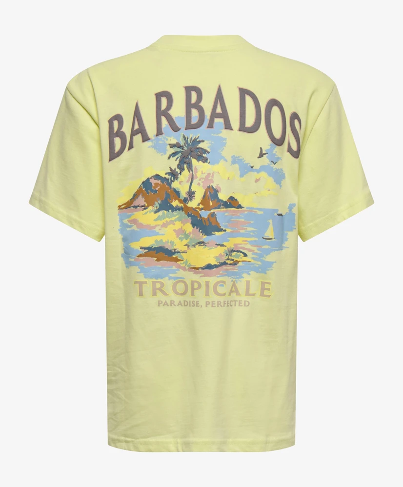 ONLY & SONS Junior T-shirt Malik