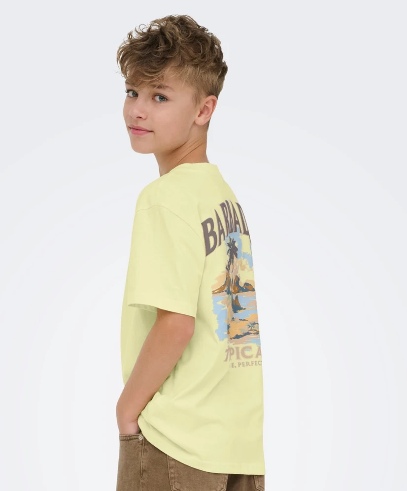 ONLY & SONS Junior T-shirt Malik