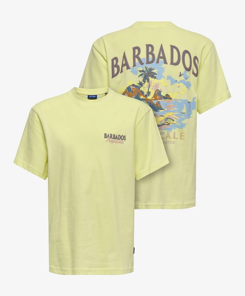 ONLY & SONS Junior T-shirt Malik