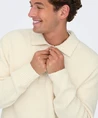 ONLY & SONS Polo Dale