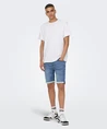 ONLY & SONS Short Regular Fit