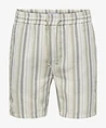 ONLY & SONS Short Trev