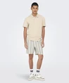ONLY & SONS Short Trev