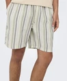 ONLY & SONS Short Trev
