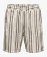 ONLY & SONS Short Trev
