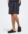 ONLY & SONS Short Trev
