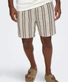 ONLY & SONS Short Trev