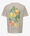 ONLY & SONS T-shirt Fred