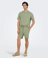 ONLY & SONS T-shirt Kian