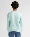 Petrol Industries Trui Round Neck