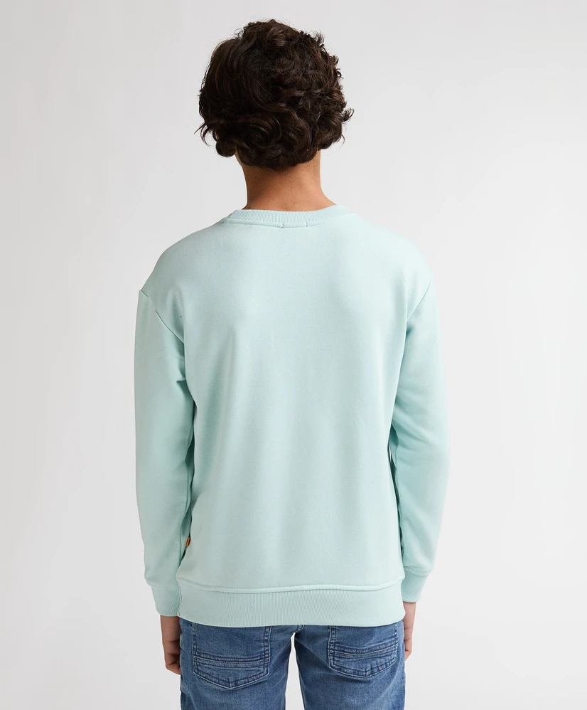Petrol Industries Trui Round Neck