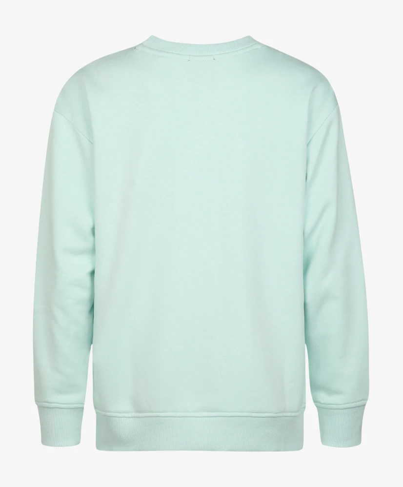 Petrol Industries Trui Round Neck