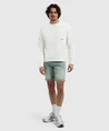 Pure Path Jeans Short The Miles Slim Fit