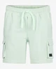 Retour Jeans Short Apollo