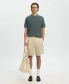 Selected Men Polo Zip Structure