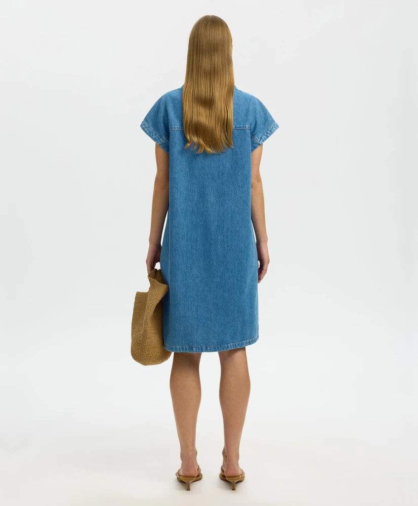 Selected Women Jurk Relaxed Tenna