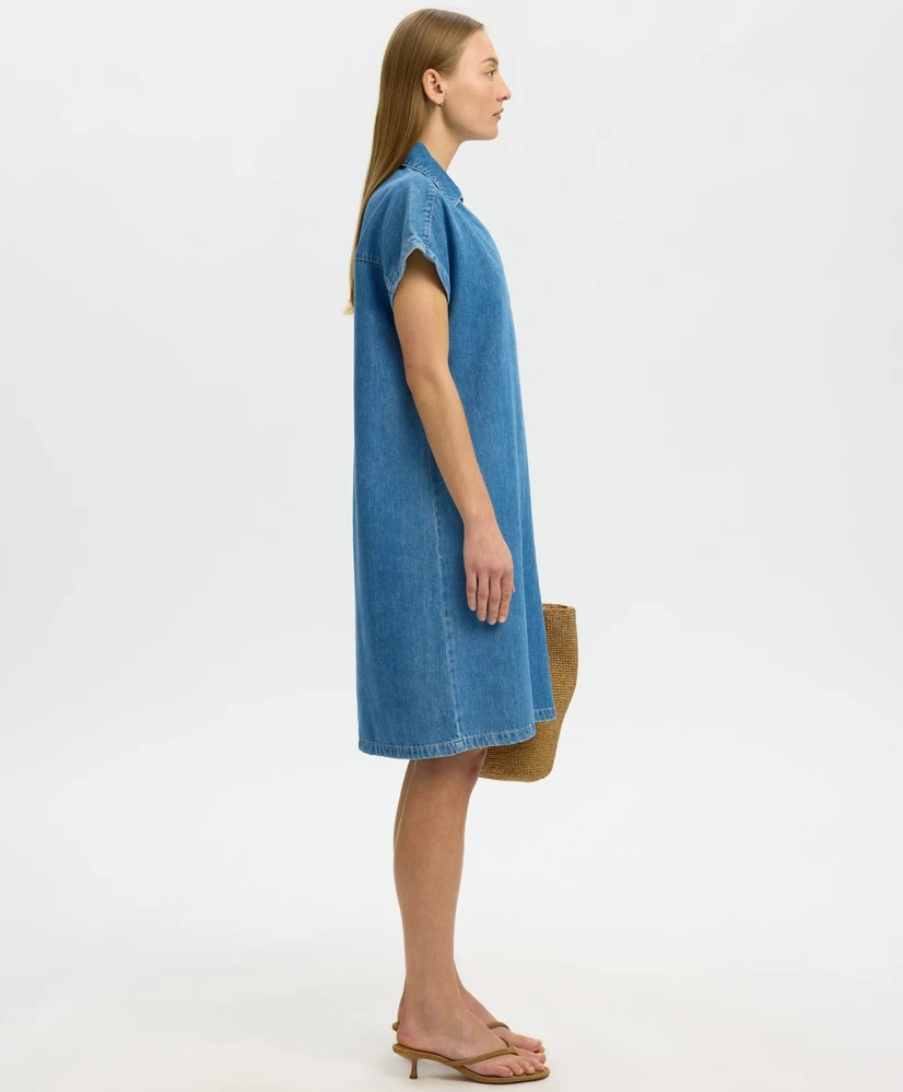 Selected Women Jurk Relaxed Tenna