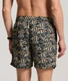 SHIWI – The Sunshine Brand Zwemshort Nate