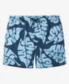 SHIWI – The Sunshine Brand Zwemshort Pete