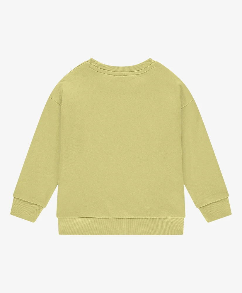 Stains & Stories Sweater Front Print