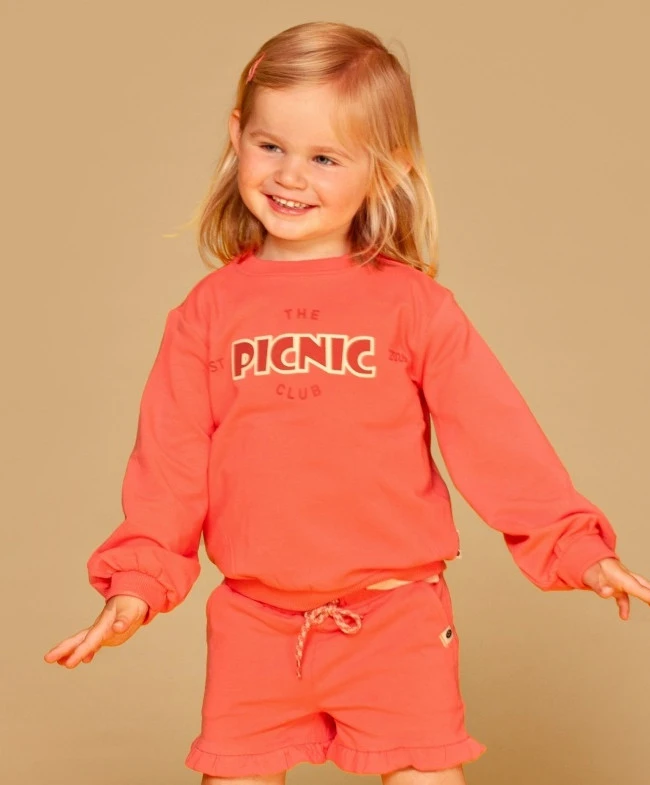 Stains & Stories Sweater Picnic