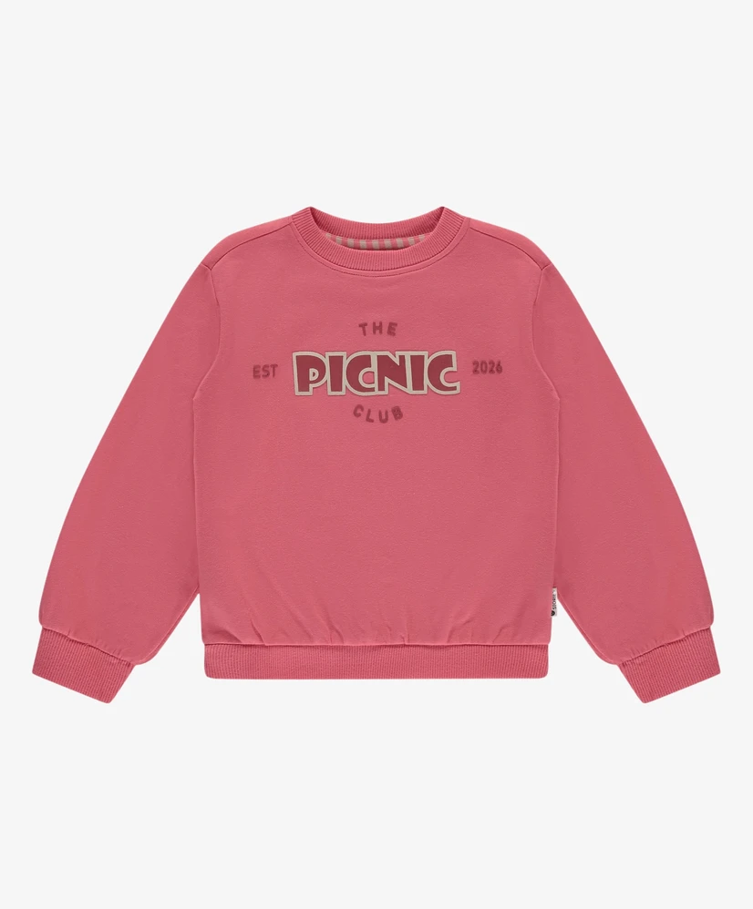 Stains & Stories Sweater Picnic