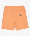 STURDY Short Effen