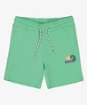 STURDY Short Effen
