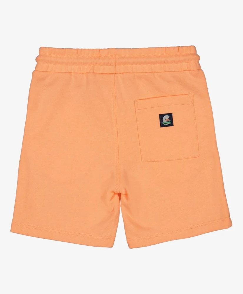 STURDY Short Effen