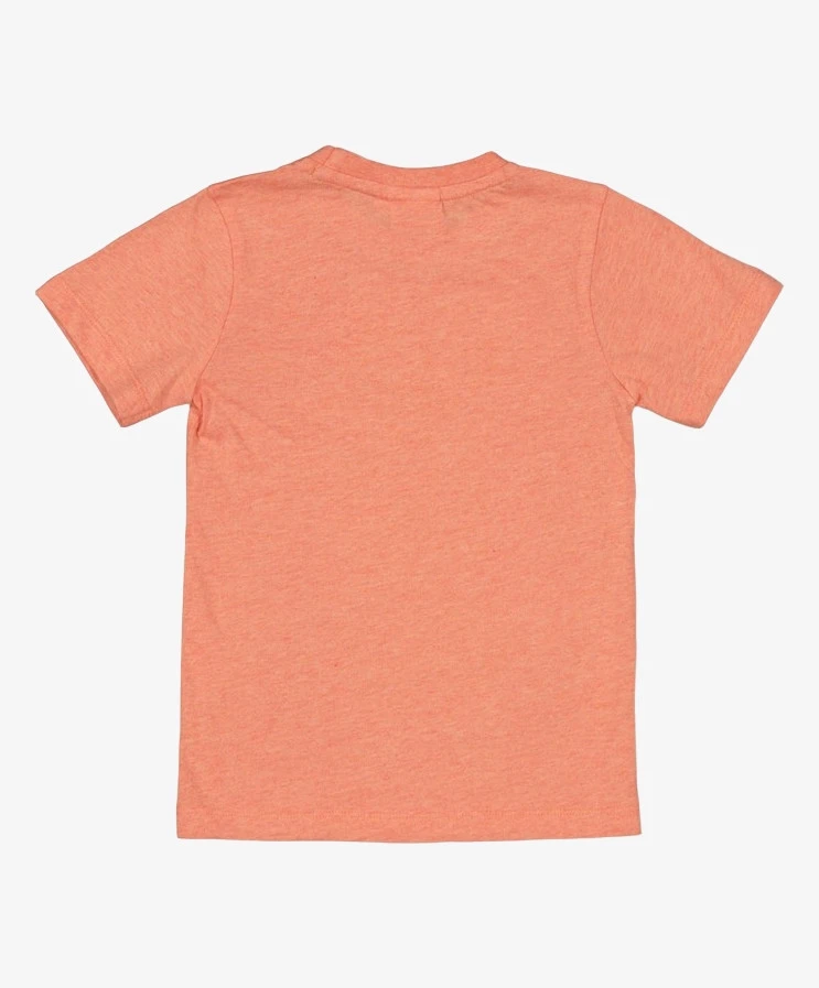 STURDY T-shirt Borst Print