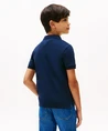 Tommy Hilfiger Polo Interlock Knitted