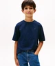 Tommy Hilfiger T-shirt Essential Archive Fit